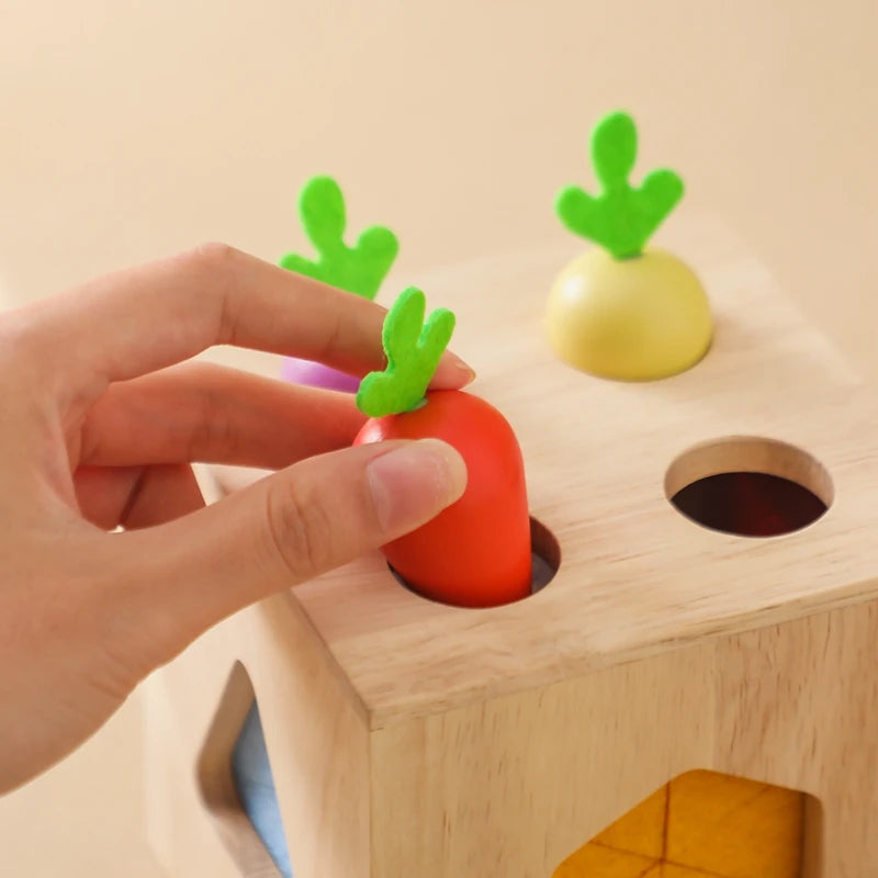 Baby Wooden Silicone Radish Theme Toy Box