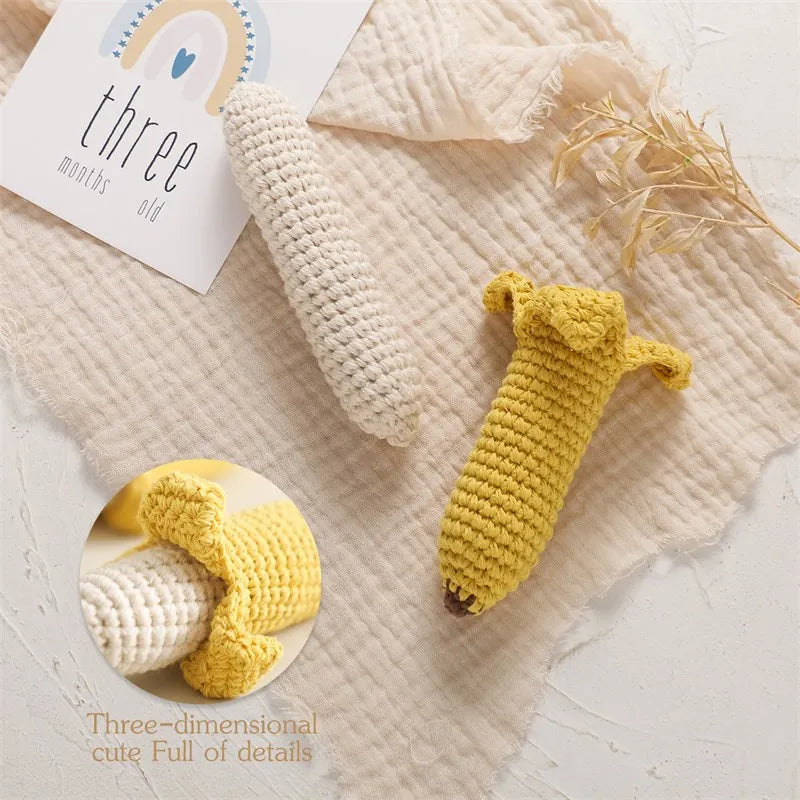 Fruit Rattle