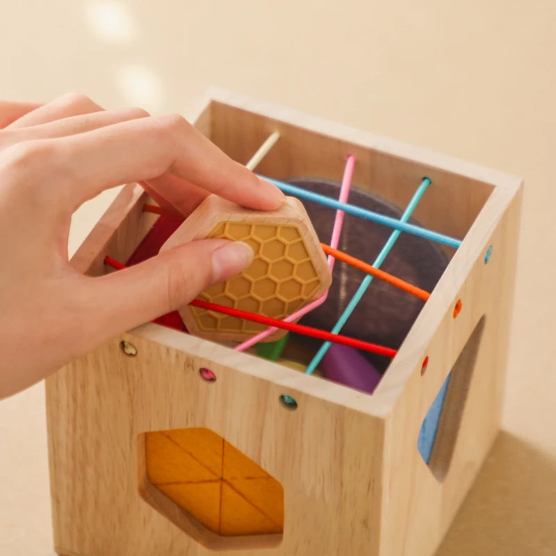 Baby Wooden Silicone Radish Theme Toy Box