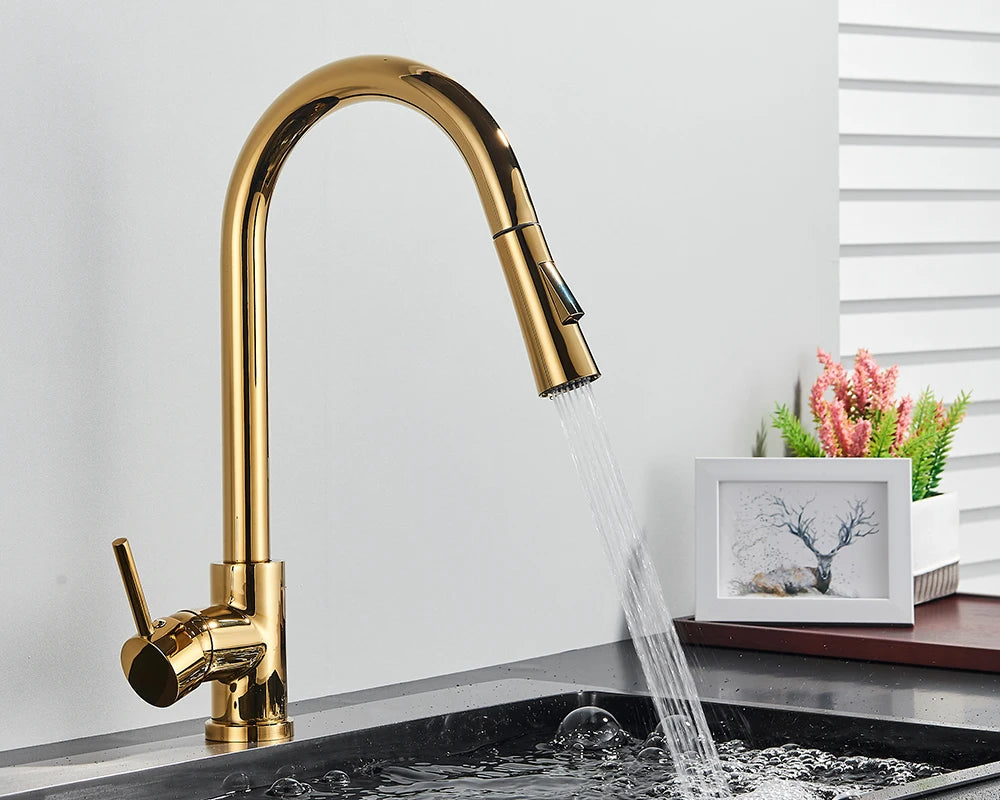 Brushed Gold Kitchen Faucet