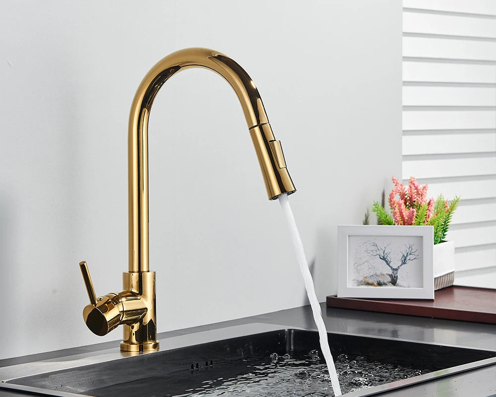 Brushed Gold Kitchen Faucet