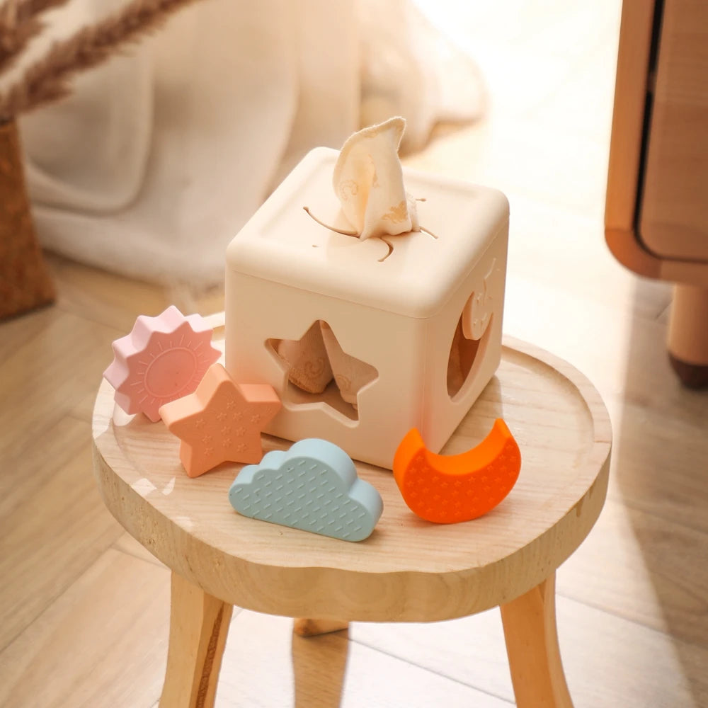 Montessori  Silicone Baby Toys Drawer Box